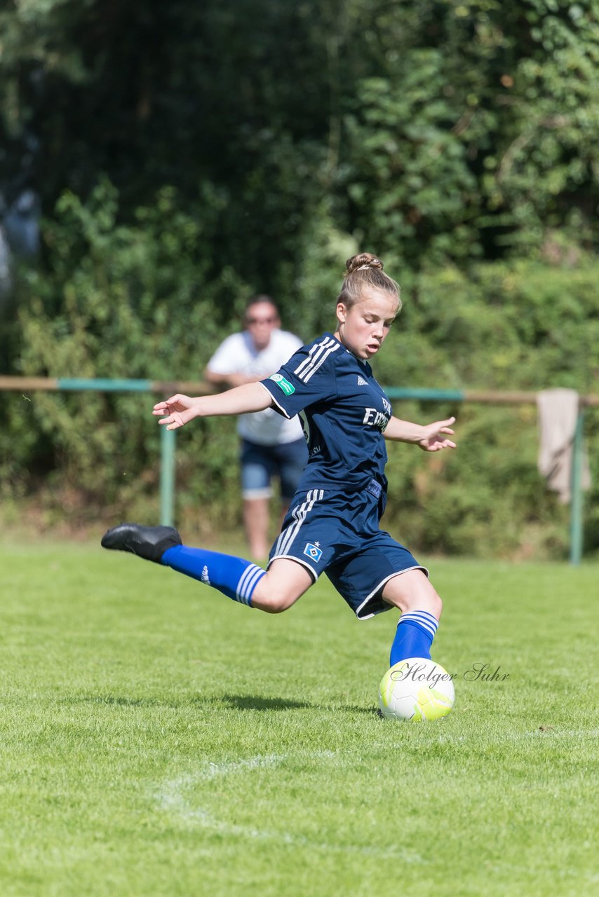 Bild 238 - B-Juniorinnen VfL Pinneberg - HSV : Ergebnis: 1:4